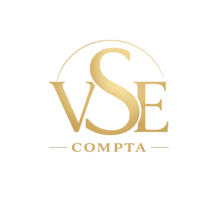 Logo VSE Compta